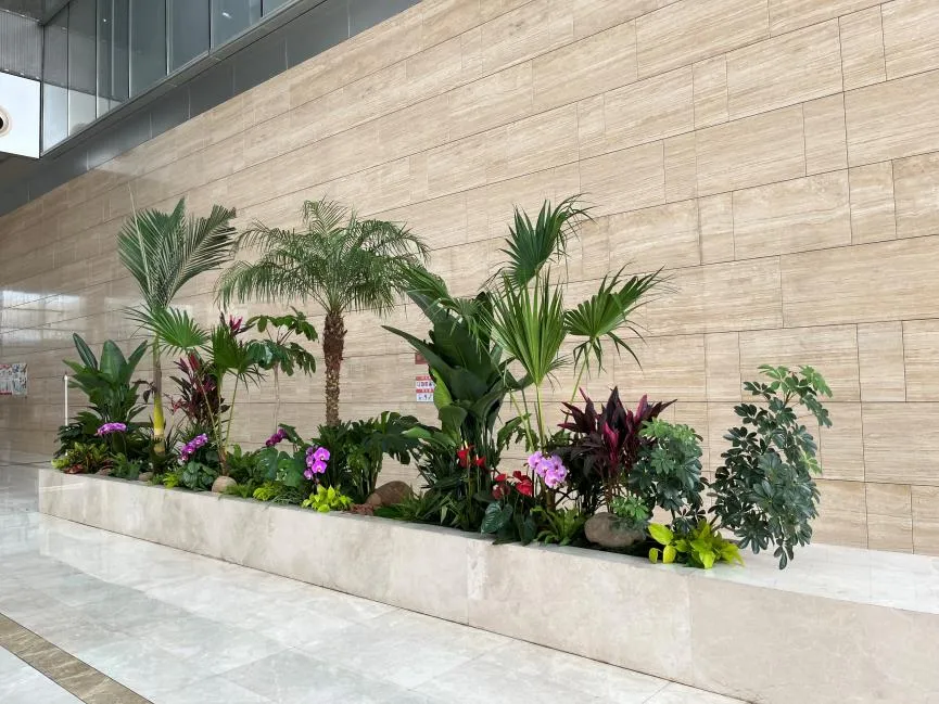 聚焦宁波江北花木租摆，尽享绿植风情